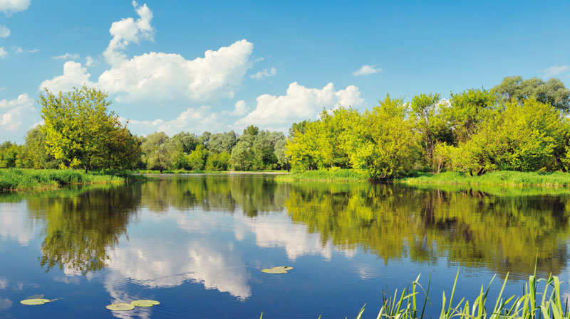 Einleitung des Abwassers in einen See
