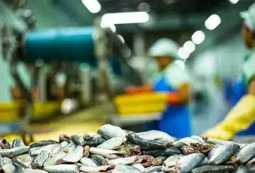 kläropro Kläranlagen kommen auch in der Lebensmittelindustrie zum Einsatz