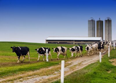 Die utp baut Flotationsanlagen auch für Molkereien und Margarinefabriken