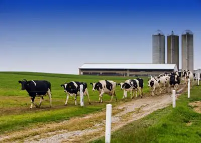 Die utp baut Flotationsanlagen auch für Molkereien und Margarinefabriken